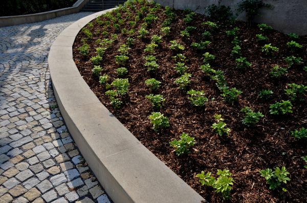 Commercial Mulching in Palm Harbor